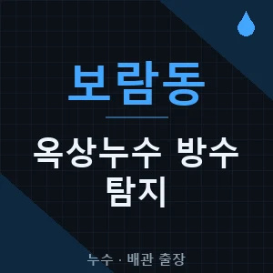 보람동 옥상 누수 방수 탐지 출장업체 추천 비용 가격 견적 - 세종