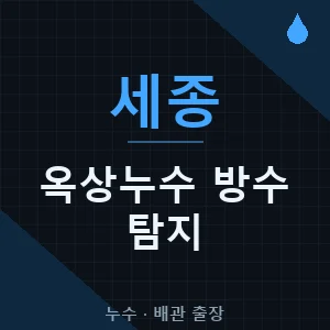 세종 옥상 누수 방수 탐지 출장업체 추천 비용 가격 견적